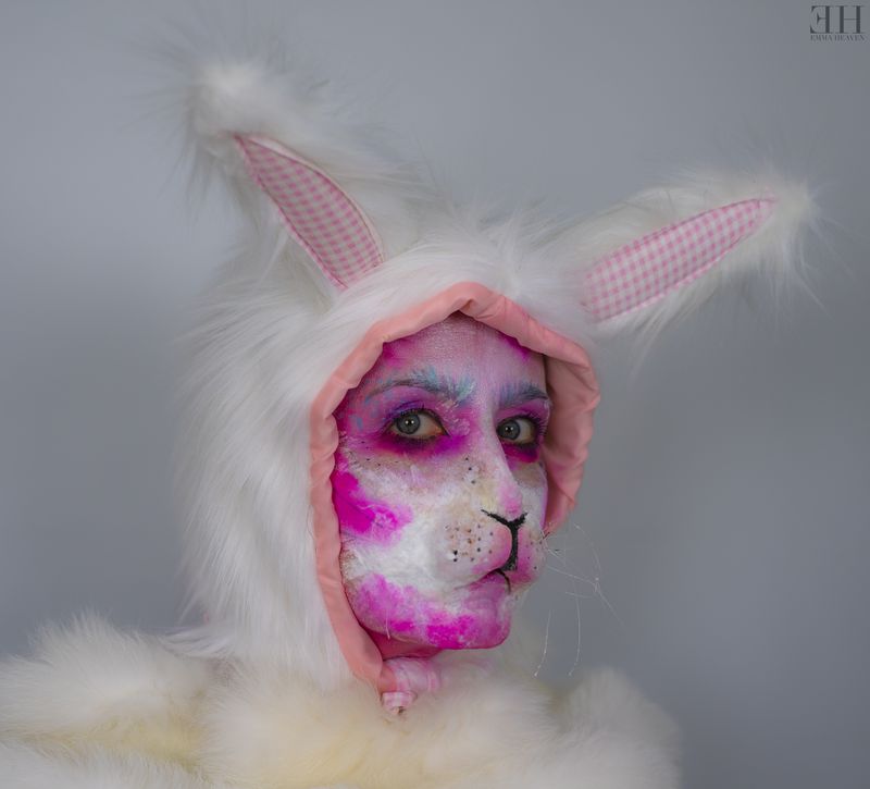 Bunny - April 2019