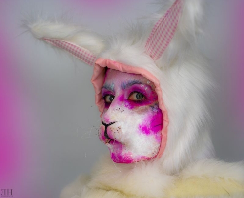 Bunny - April 2019
