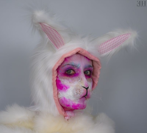 Bunny - April 2019
