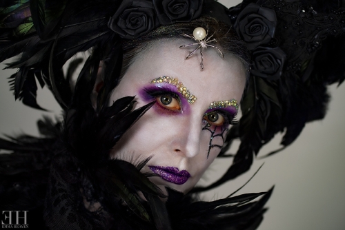 Cobweb - June 2020