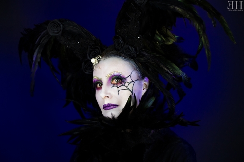 Cobweb - June 2020