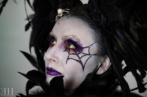 Cobweb - June 2020