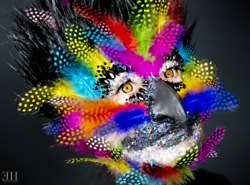 Bird Of Prey - September 2020