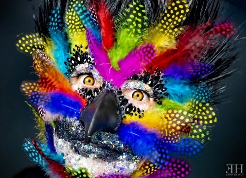 Bird Of Prey - September 2020