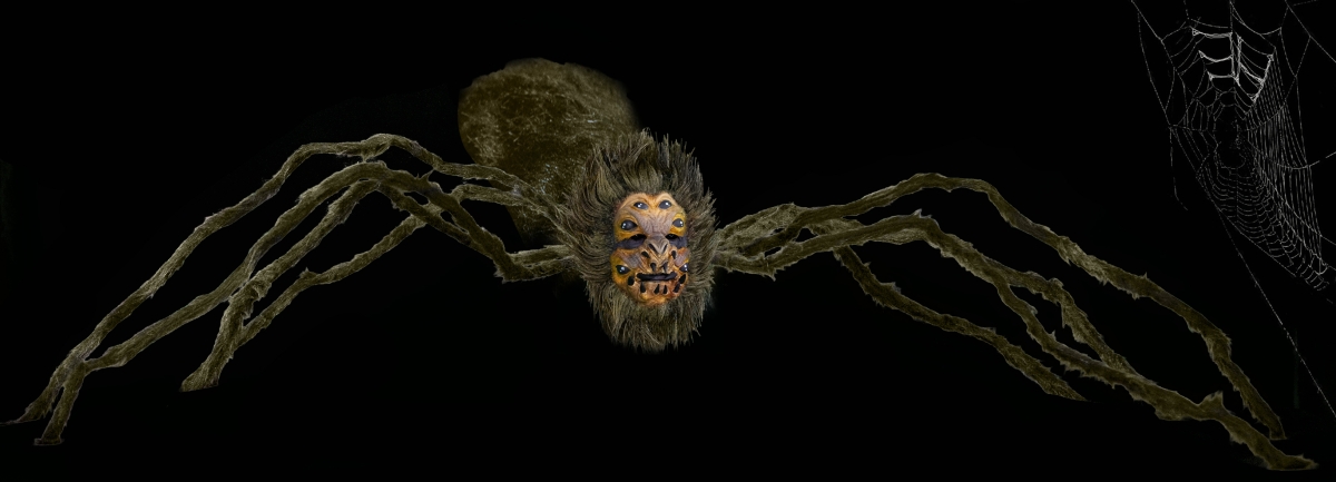 Emma’s Web - May 2022