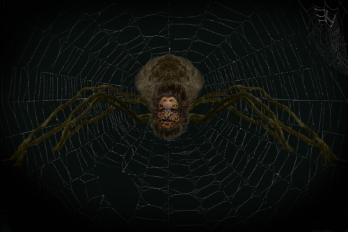 Emma’s Web - May 2022