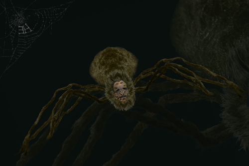 Emma’s Web - May 2022