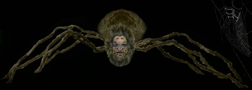 Emma’s Web - May 2022